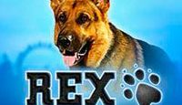 Игровой автомат Rex